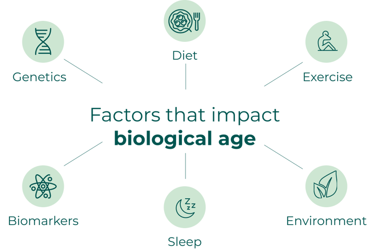 factors_biological_age