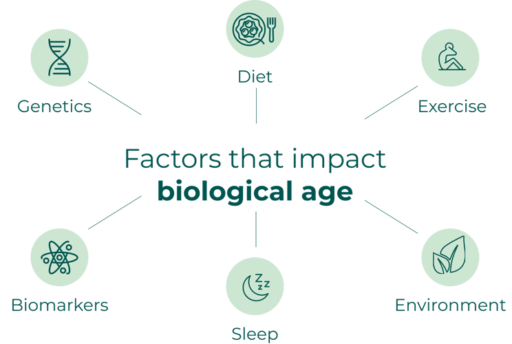 factors_biological_age factors_biological_age