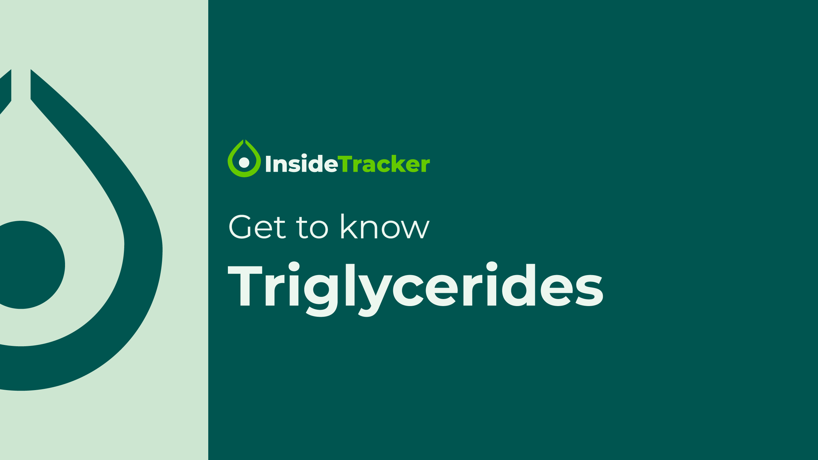 Biomarker Education Videos_Triglycerides