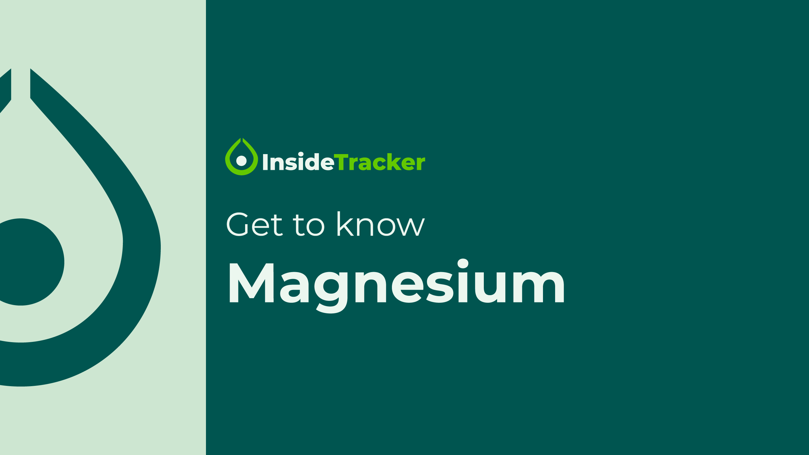 Biomarker Education Videos_Magnesium